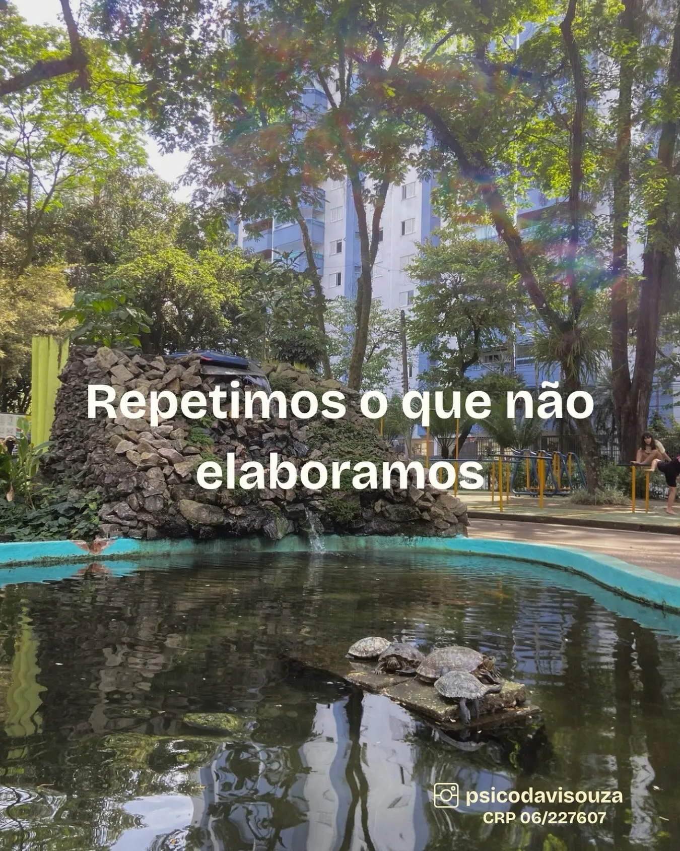 Post com a frase "Repetimos o que não elaboramos" sobre a foto de um lago com tartarugas, entre árvores.